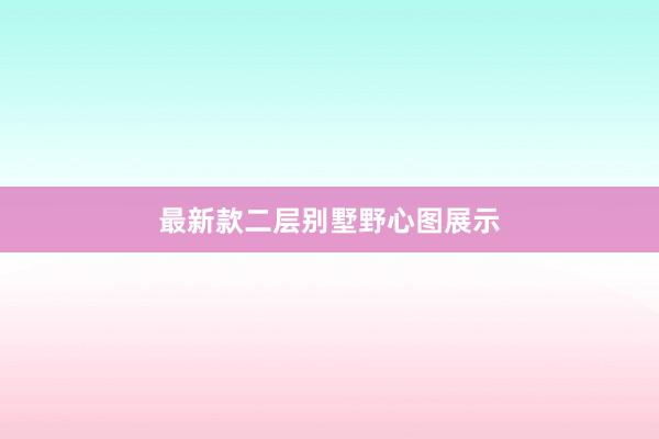 最新款二层别墅野心图展示