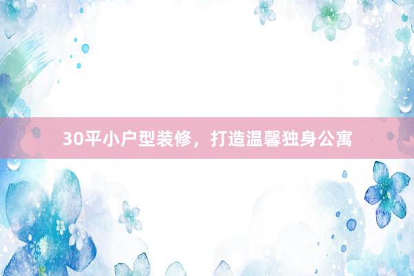 30平小户型装修，打造温馨独身公寓