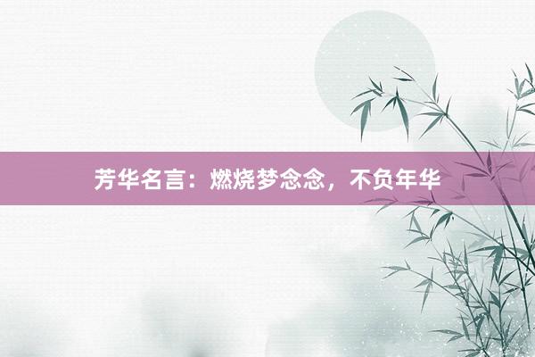 芳华名言：燃烧梦念念，不负年华